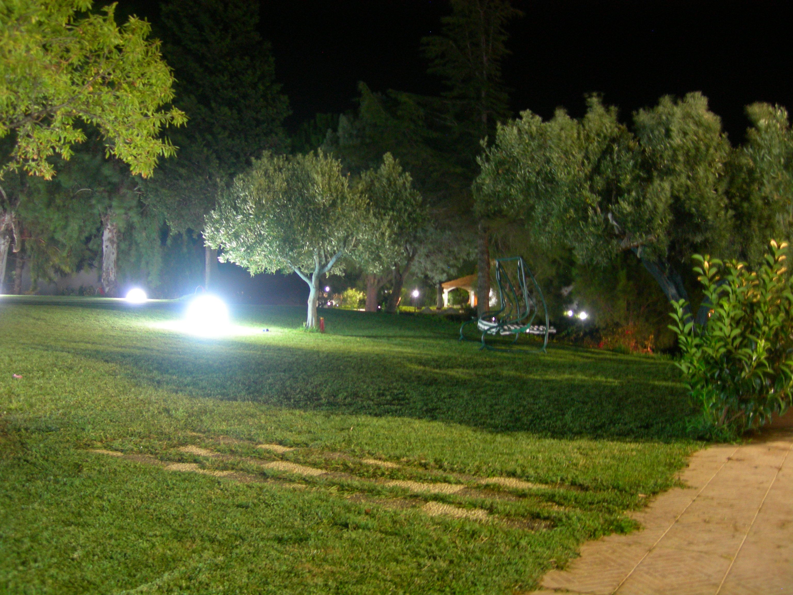 DSCN1687
