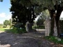 Pollidoro