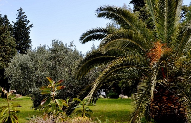 pollidoro_giardino