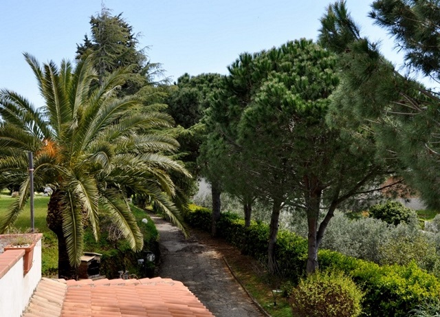 pollidoro_giardino3
