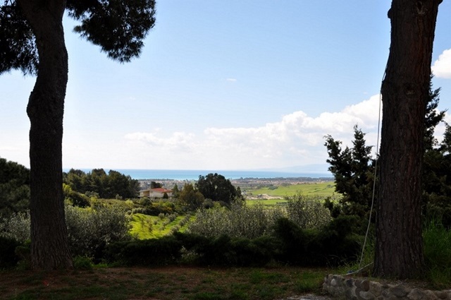 pollidoro_vista