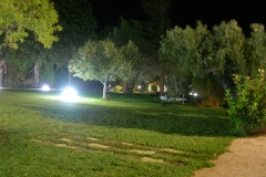 DSCN1687