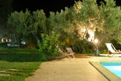 DSCN1688