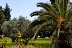 pollidoro_giardino