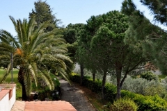 pollidoro_giardino3