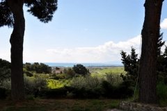 pollidoro_vista