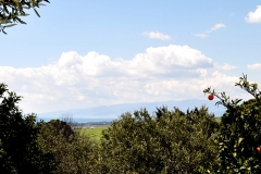 vista_stellamarina