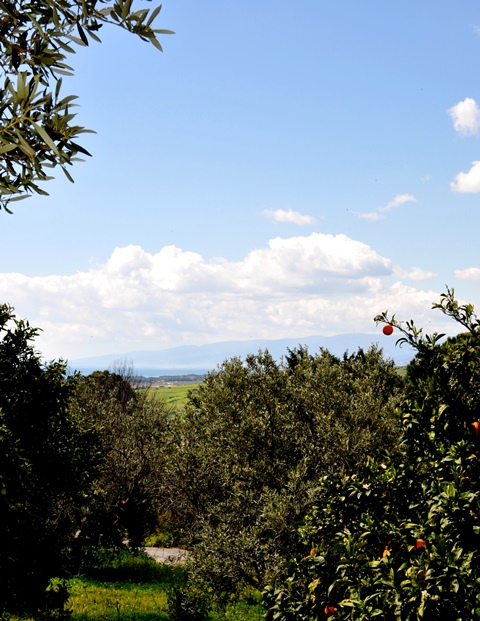 vista_stellamarina